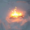 PerhapsIsabelle's icon
