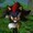 ShadowTheEdgehog's icon