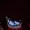 Ketchupjetpack's icon