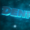 DenPrise's icon