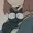 Sprixzee's icon