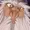 WIZABYSS's icon
