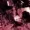 NXISE's icon
