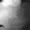 Vewoli's icon