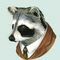 TheDapperRaccoon
