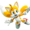 tails10's icon