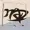 NaNoOficcial's icon