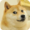 Dogeman1's icon