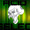 AcidSelect's icon