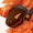 OrangeFluff's icon