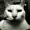grz3chotnik's icon