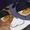 ShadowTheSnek's icon