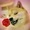 Doge-With-a-Rose's icon