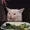 MrSaladCat's icon