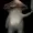 saylorvevo's icon