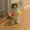 Davi3's icon