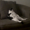 TheAmazingGamer13P's icon