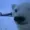 Smucced's icon