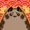 CVRI's icon