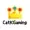 CatKingGaming's icon