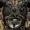 Eggrien's icon