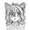 TheDacoMelon's icon