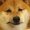 Anzyll's icon