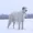 adudeinnewgrounds's icon