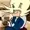 isaackdocafe's icon