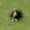 isDAML's icon