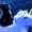Pfenix39's icon