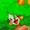 VeLocity1202's icon
