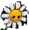 JavaAction's icon