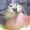 GooglePixle23's icon
