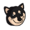 c00tdoggo's icon