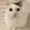 E37213712893's icon