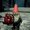 GnoHomoBro's icon