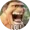 Nut-Man's icon