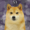 Doggo6's icon