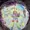 Casewell's icon