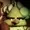 GallantArc302's icon