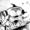 hofhonkhonk's icon