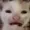 GGaelotube's icon
