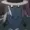 DavinngfdbAdfgfd's icon