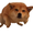 Dogemax2YT's icon