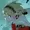 fexolo's icon
