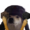 russiandogggo's icon