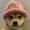 dogwifhat's icon