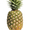 pineapplefnaf's icon