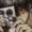 4rthur's icon